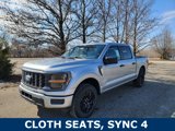New 2025 Ford F150 STX image 2