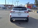 Certified 2022 Ford Escape SEL image 5