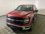 New 2025 Ford F150 XLT w/ Equipment Group 301A Standard image 5