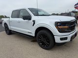 New 2025 Ford F150 XLT image 2