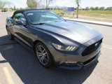 Used 2017 Ford Mustang Premium image 6