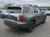 New 2025 Hyundai Palisade XRT image 3