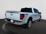 New 2025 Ford F150 XLT w/ Equipment Group 302A MID image 4