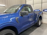 Used 2025 Ford F150 XL w/ Equipment Group 103A High image 5