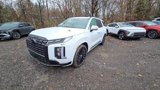 New 2025 Hyundai Palisade Calligraphy image 2