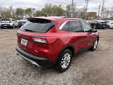 Used 2020 Ford Escape SE image 4