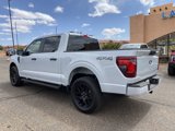 New 2025 Ford F150 STX w/ STX Black Appearance Package image 3