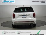 New 2025 Hyundai Palisade Calligraphy image 4