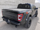 Used 2023 Ford F150 Raptor R image 4