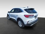 Used 2021 Ford Escape SE w/ Cold Weather Package image 4