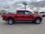 New 2025 Ford F150 XLT w/ Equipment Group 302A MID image 2
