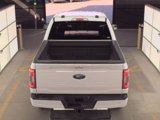 Used 2023 Ford F150 XLT w/ Equipment Group 302A High image 6