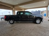 Used 2023 Ford F150 XLT image 4