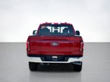 New 2025 Ford F150 Lariat w/ Equipment Group 502A High image 4