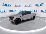 New 2025 Ford F150 XLT w/ Equipment Group 302A MID image 4