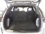 Used 2024 Ford Escape ST-Line image 6