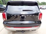 New 2025 Hyundai Palisade Calligraphy image 3