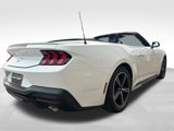Used 2024 Ford Mustang Premium image 4