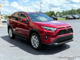 Used 2025 Toyota RAV4 XLE Premium image 6