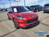 Certified 2022 Ford Escape SE w/ SE Sport Appearance Package image 3
