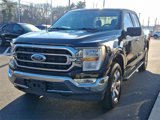 Certified 2022 Ford F150 XLT w/ Equipment Group 301A Mid image 4
