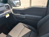 New 2025 Ford F150 XLT image 6