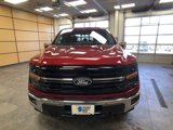 New 2025 Ford F150 XLT w/ Equipment Group 303A High image 2