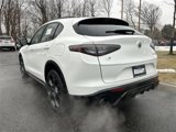 New 2025 Alfa Romeo Stelvio Sprint image 6