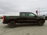 Used 2020 Chevrolet Silverado 1500 LT Trail Boss image 4