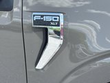 New 2025 Ford F150 XLT w/ Equipment Group 302A MID image 5