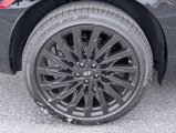 New 2025 Hyundai Santa Fe Calligraphy image 6