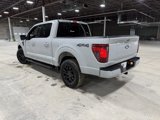 Used 2024 Ford F150 XLT image 4