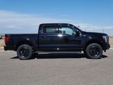 New 2025 Ford F150 Lariat w/ Equipment Group 502A High image 6