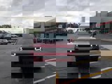 New 2025 Hyundai Santa Fe Calligraphy image 5