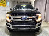 Used 2020 Ford F150 XLT w/ Equipment Group 302A Luxury image 6