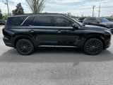 New 2025 Hyundai Palisade Calligraphy image 5