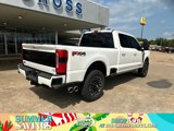 New 2025 Ford F250 Platinum image 2