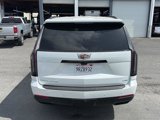 Used 2025 Cadillac Escalade Sport Platinum image 4