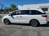 Used 2024 Honda Odyssey EX-L image 2