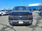 New 2025 Ford F150 XLT image 2