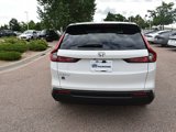 New 2026 Honda CR-V EX-L image 5