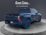 New 2025 Toyota Tundra Platinum image 5