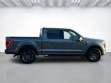Certified 2023 Ford F150 XLT w/ Equipment Group 302A High image 2