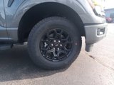 New 2025 Ford F150 XLT image 2