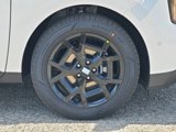 New 2025 Kia Carnival SX image 4