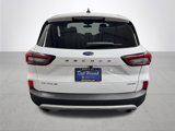 Used 2024 Ford Escape Active image 5