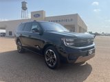New 2025 Ford Expedition King Ranch image 3