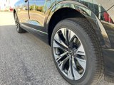 New 2025 Audi Q8 Premium Plus image 3