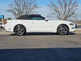 Used 2023 Ford Mustang Premium image 2
