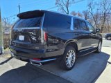 Used 2022 Cadillac Escalade ESV Premium Luxury w/ LPO, Illumination Package image 5